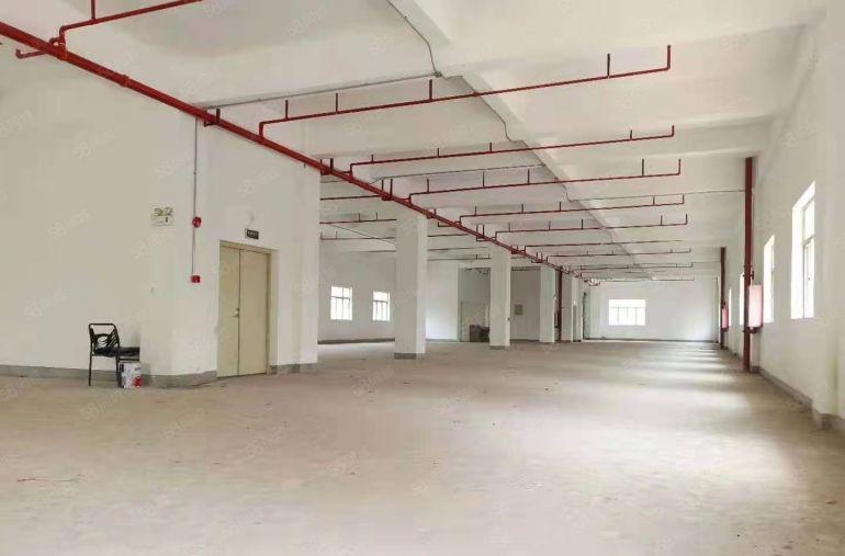 龙华主干道独院红本厂房出租5万平方共三栋适合教育培训展厅电商