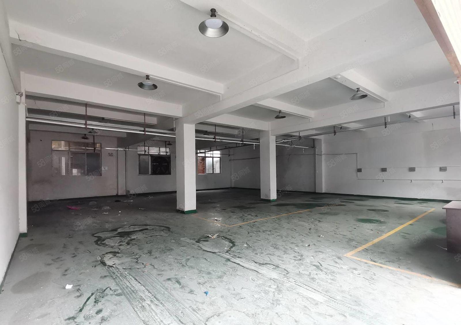 西丽白芒关地铁口，独门独院6200，租金35元平起