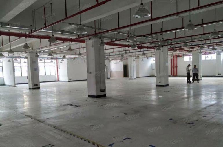 西乡航城大型园区原房东一楼1500三楼3000平方厂房分租