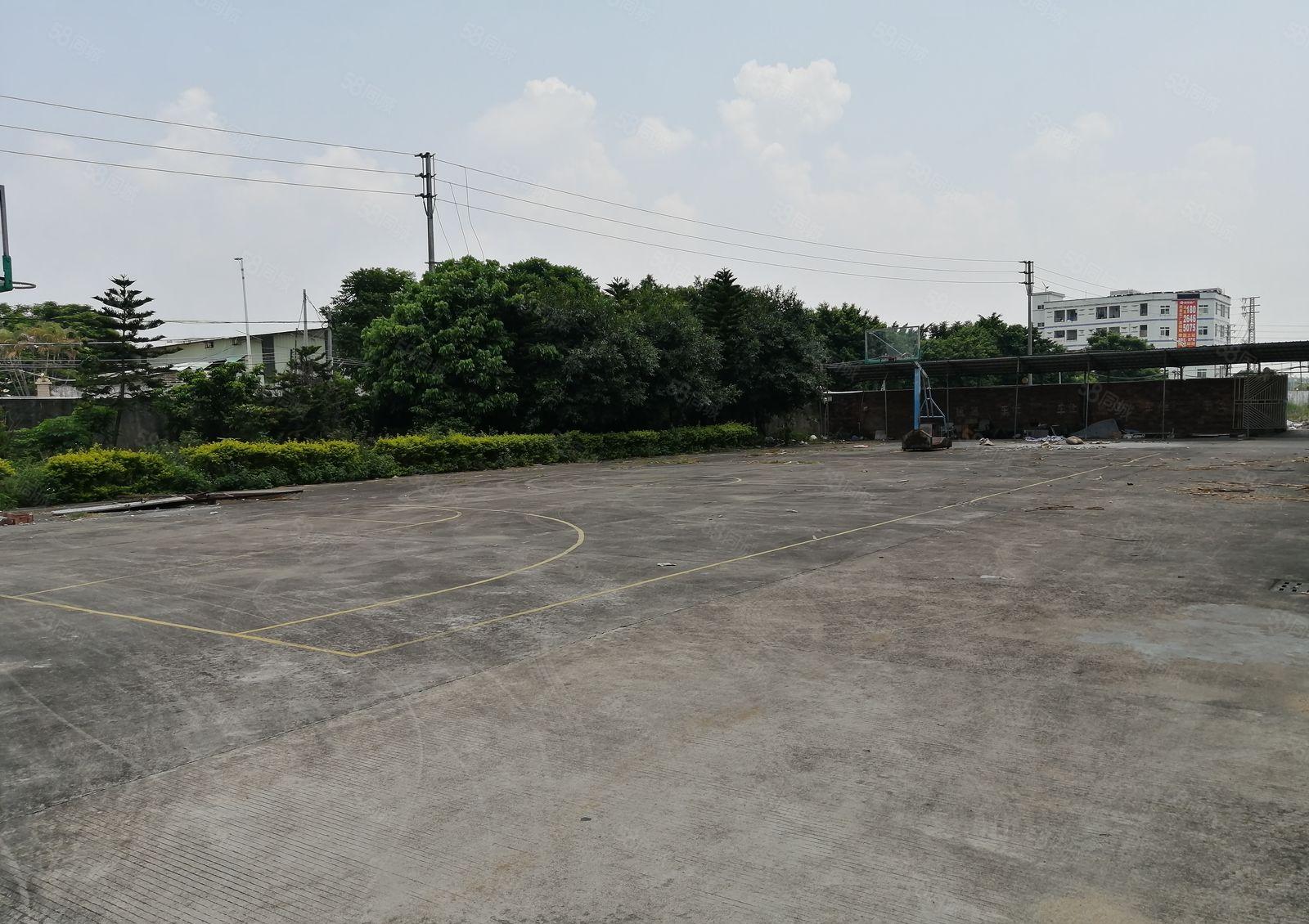 南山原房东独院厂房仓库500平1000平2000平出租