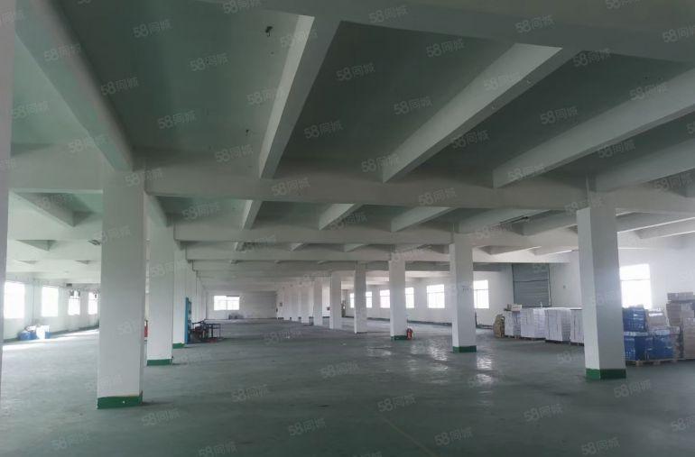 福永新出一二楼1000平至5000平厂房仓库出租独院大小分租