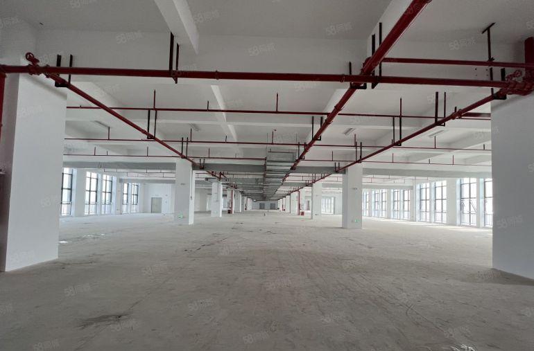一楼15元实际面积全新红本厂房出租1000平大小可分交通便利