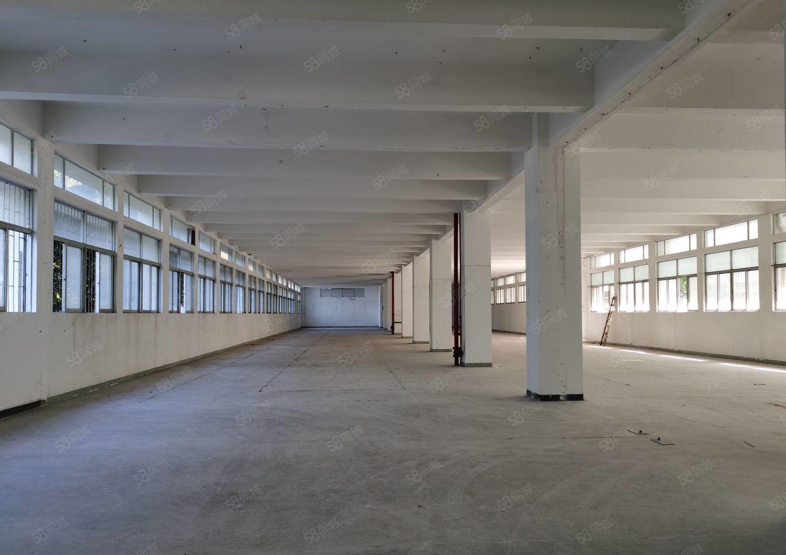 蛇口地铁海上世界地站独门独院3400平出租适合总部办公