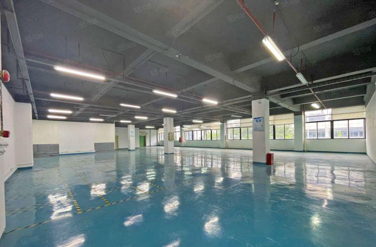 西丽百旺信工业园精装整层2780平可分租