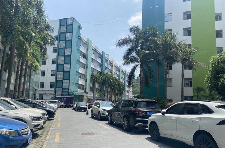 南山西丽留仙洞产业园楼上450,一楼1300平，原房东直租