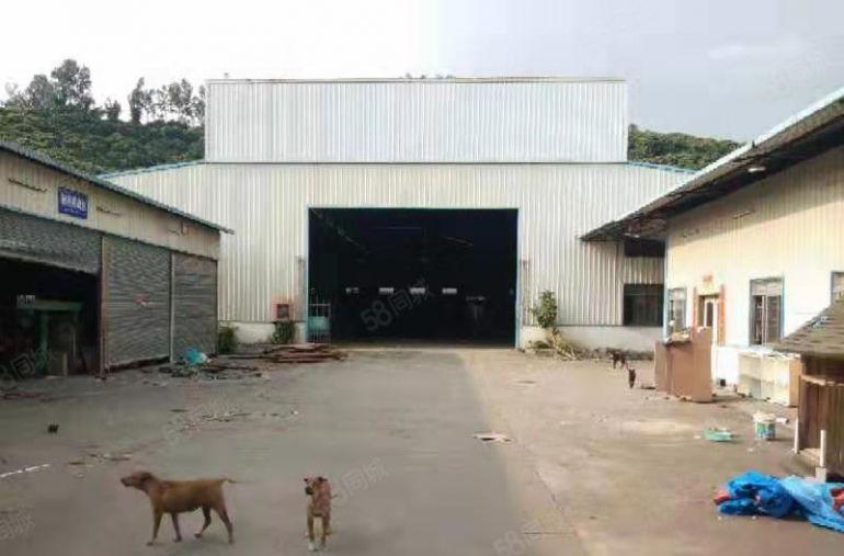 南山西丽独门独院5000平米钢构  园内空地大 水电齐全