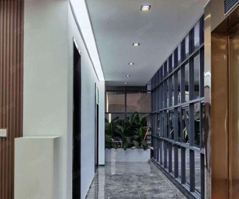 南山西丽留仙洞地铁口 精装修1600平办公电商科技等等出租