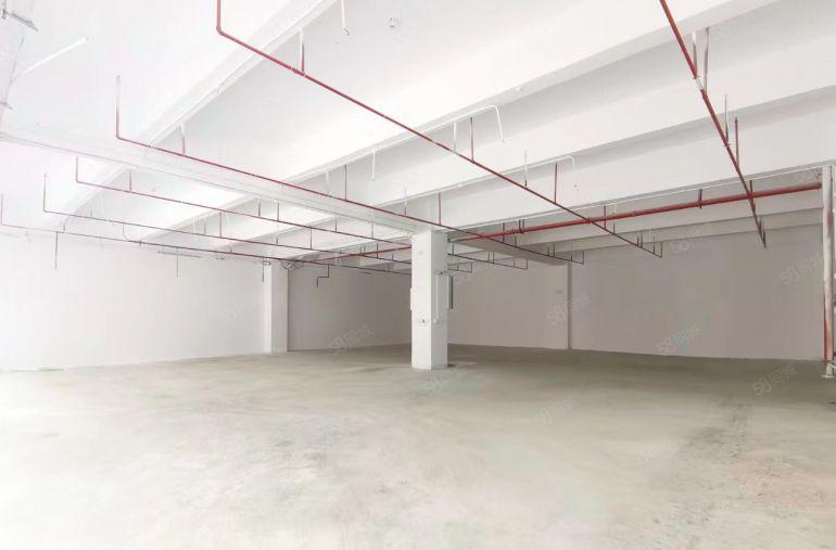 南山西丽一楼1700平可分租 展示面广 展厅面广