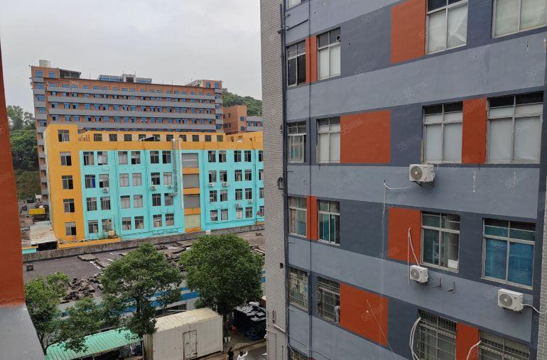 南山西丽大磡科技园 2002500方厂房直租 价格优惠