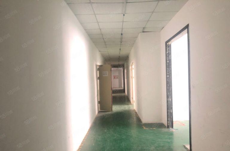地铁口整层厂房1850平 仅租6.5万 配套双电梯 不限行业