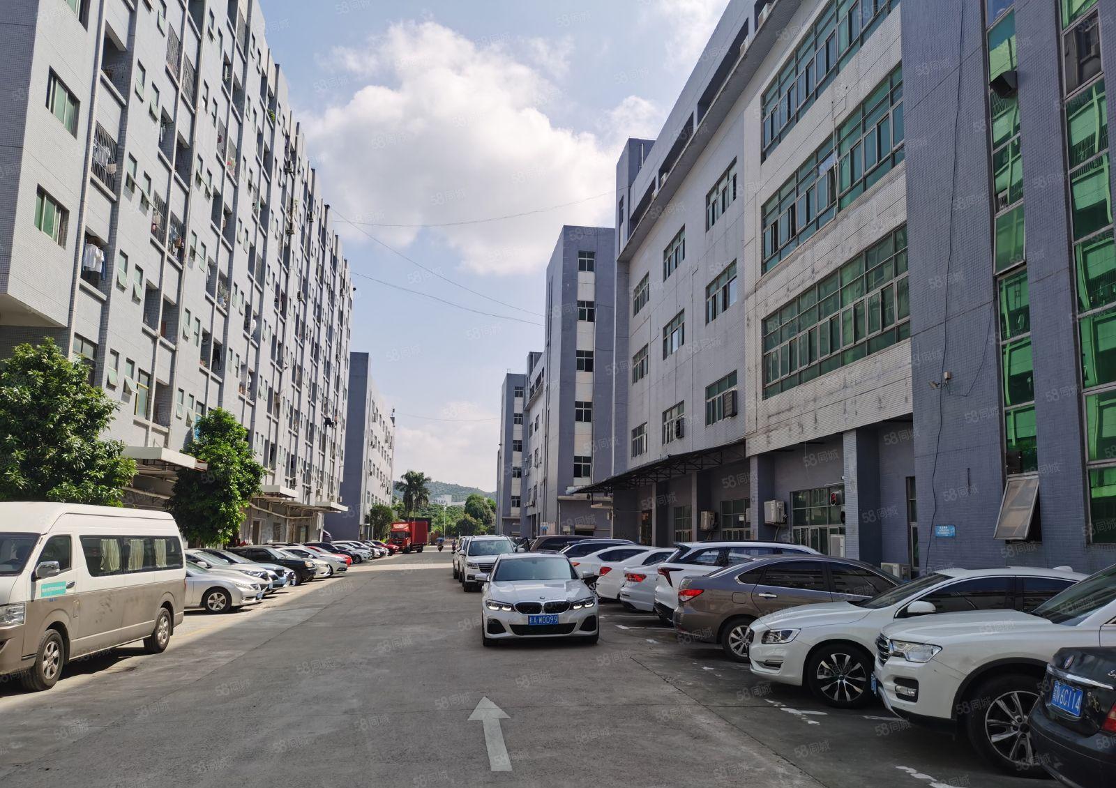 350平办公室装修车间地坪漆，石岩坑尾工业区两部货梯可办环评