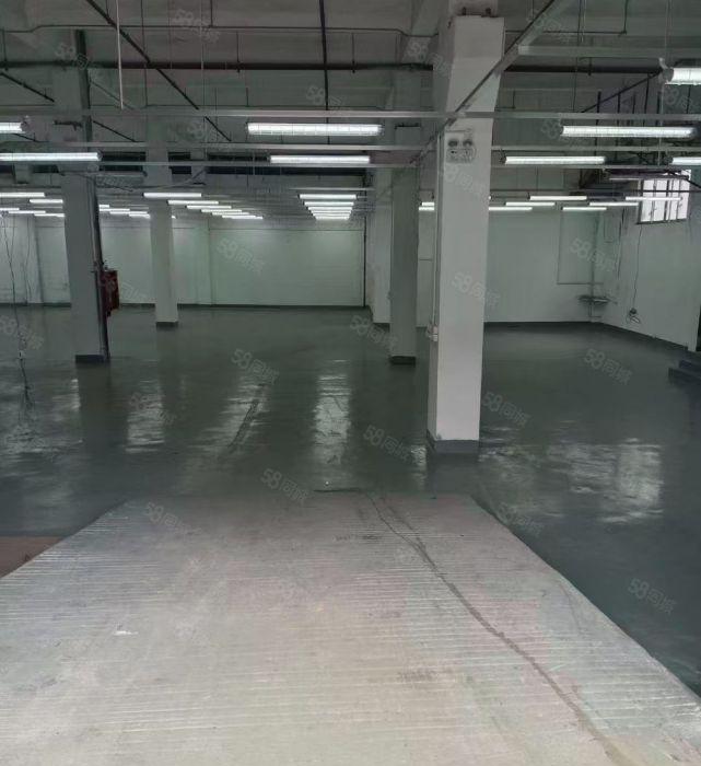 南油一楼层高6.5米特价55出租面积1750平