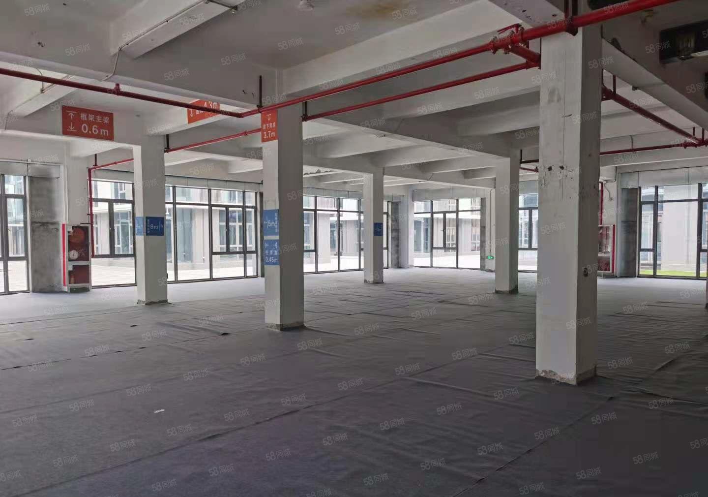 光明高新园区5000红本厂房出租大小分租