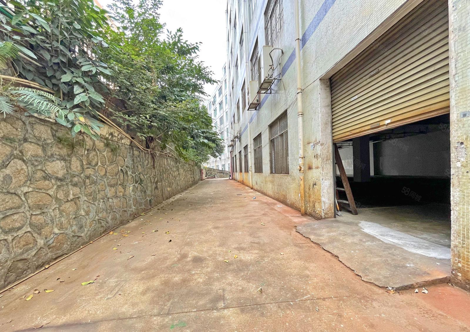 南山西丽新出一楼950平 停车免费  双侧都有卷闸门