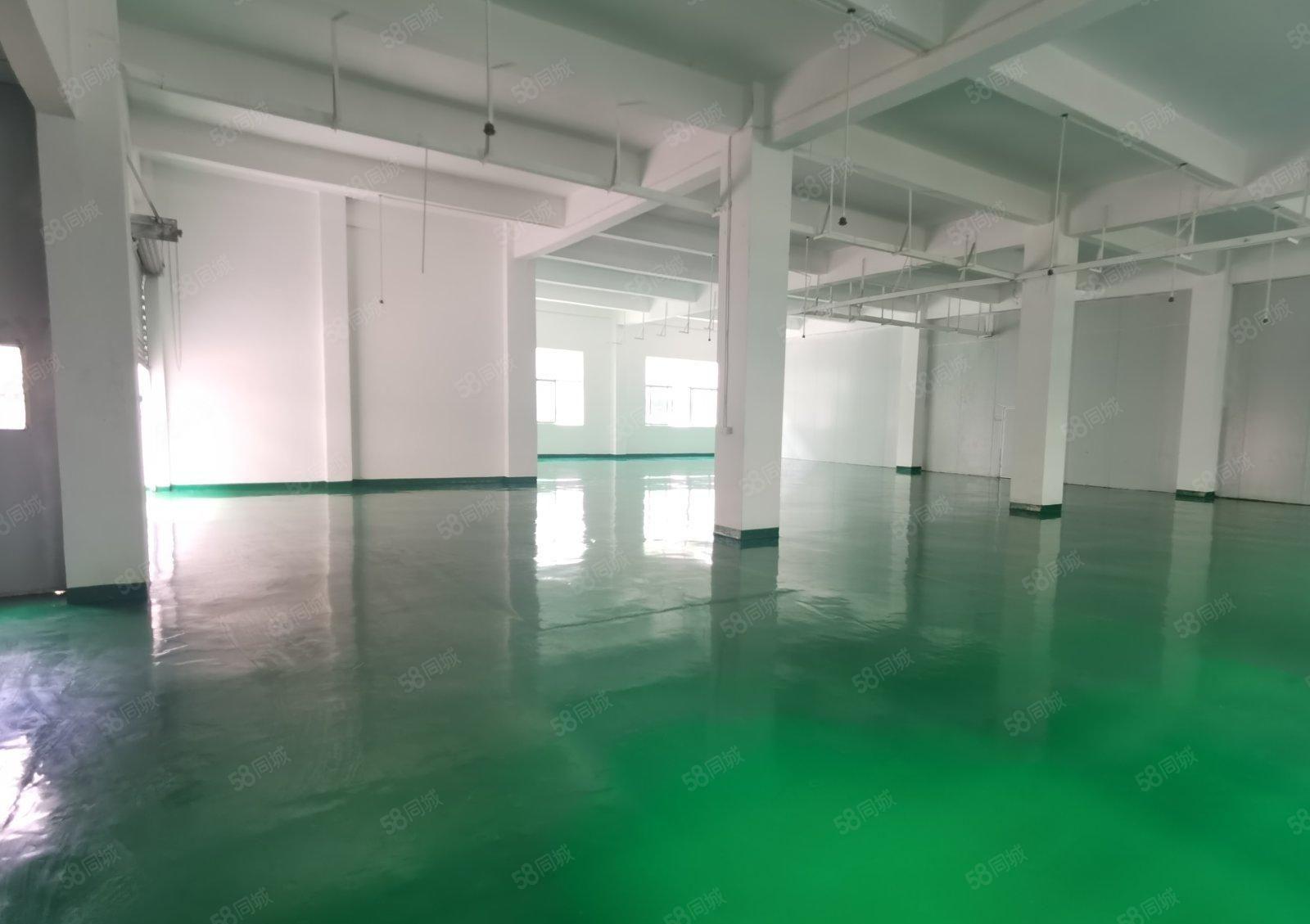 龙华观澜科技园一楼850平厂房仓库出租带精装全新坪漆可分租