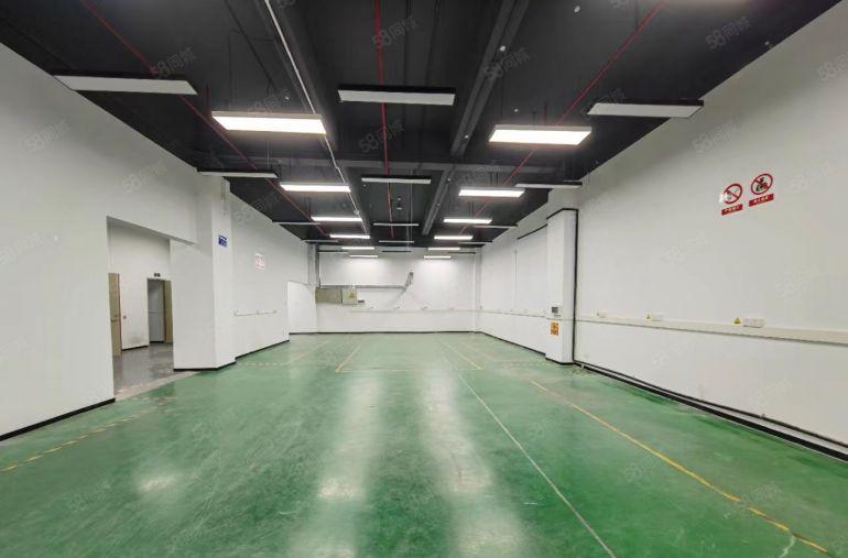 南山西丽地铁口  有一楼厂房517平出租 可以分租一半