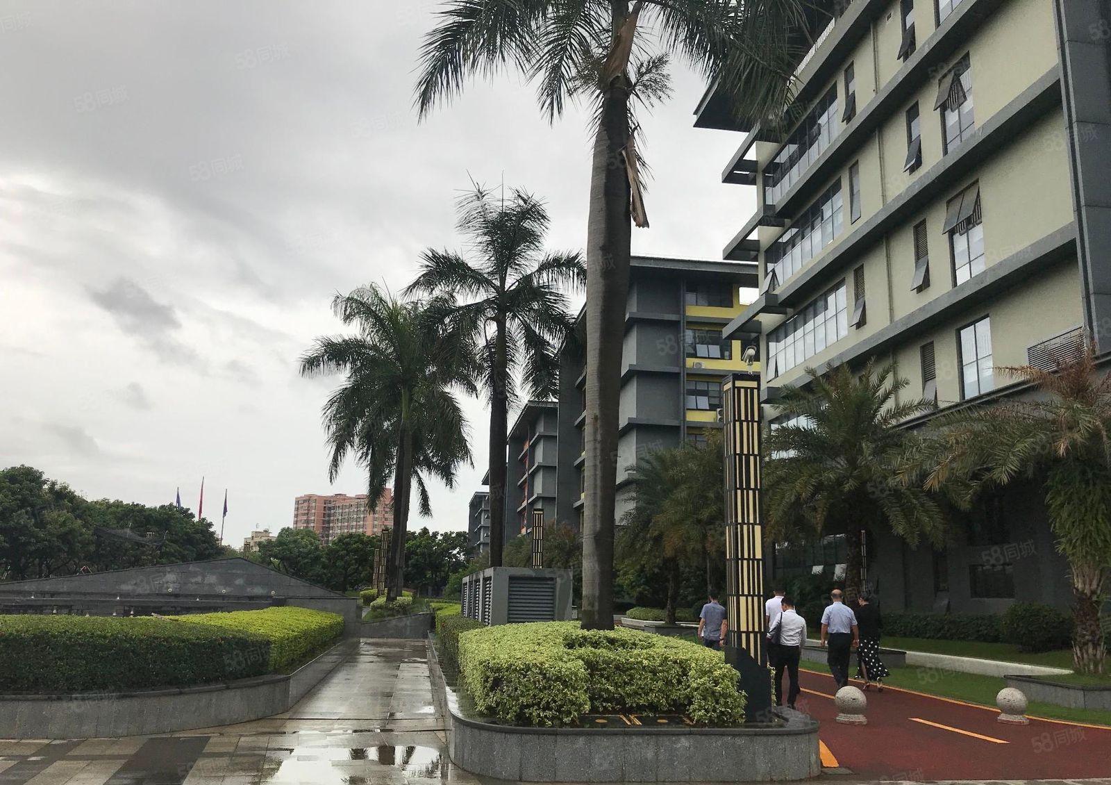 西丽百旺信科技园精装200至5300平办公室电商仓库厂房出租