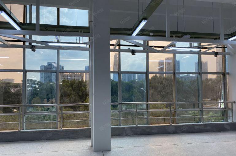 深圳洪湖房东直租大厂房大面积无中介费12楼