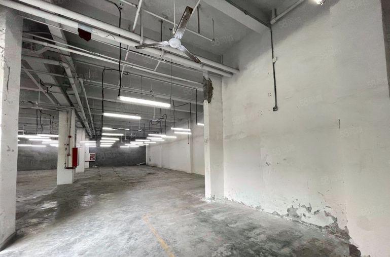 南油蛇口一楼层高6米适合服装仓库物流配送等行业特价