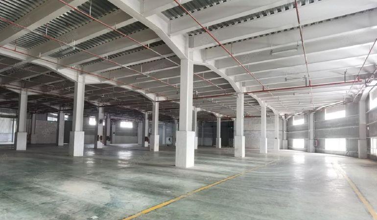 盐田6000平方厂房仓库 低价分租 物流分拨配送中心