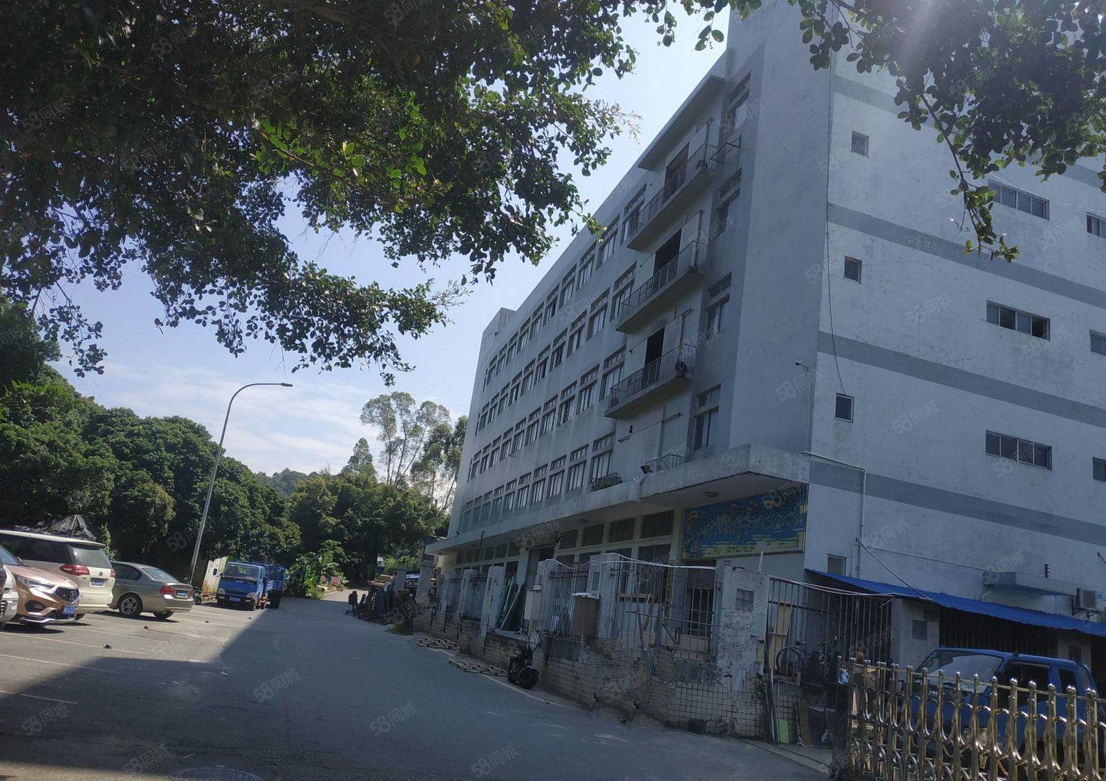 南山西丽 大磡工业区新出1500平厂房直租 带卸货平台