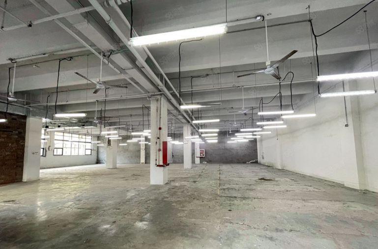 南油蛇口一楼层高6米适合服装仓库物流配送等行业特价