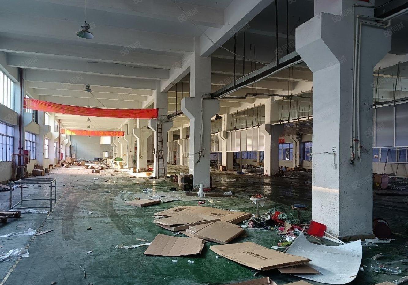 公明原房东高新园区在红本厂房独栋一楼一整层1800平方