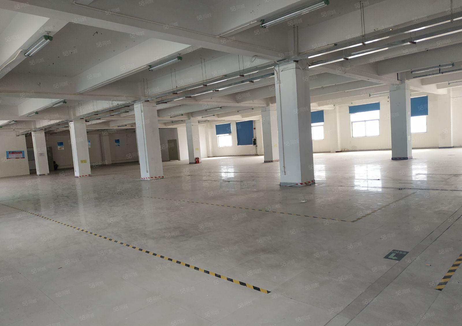 一楼1700平整层厂房仓库 西丽阳光工业区南北通650平起租