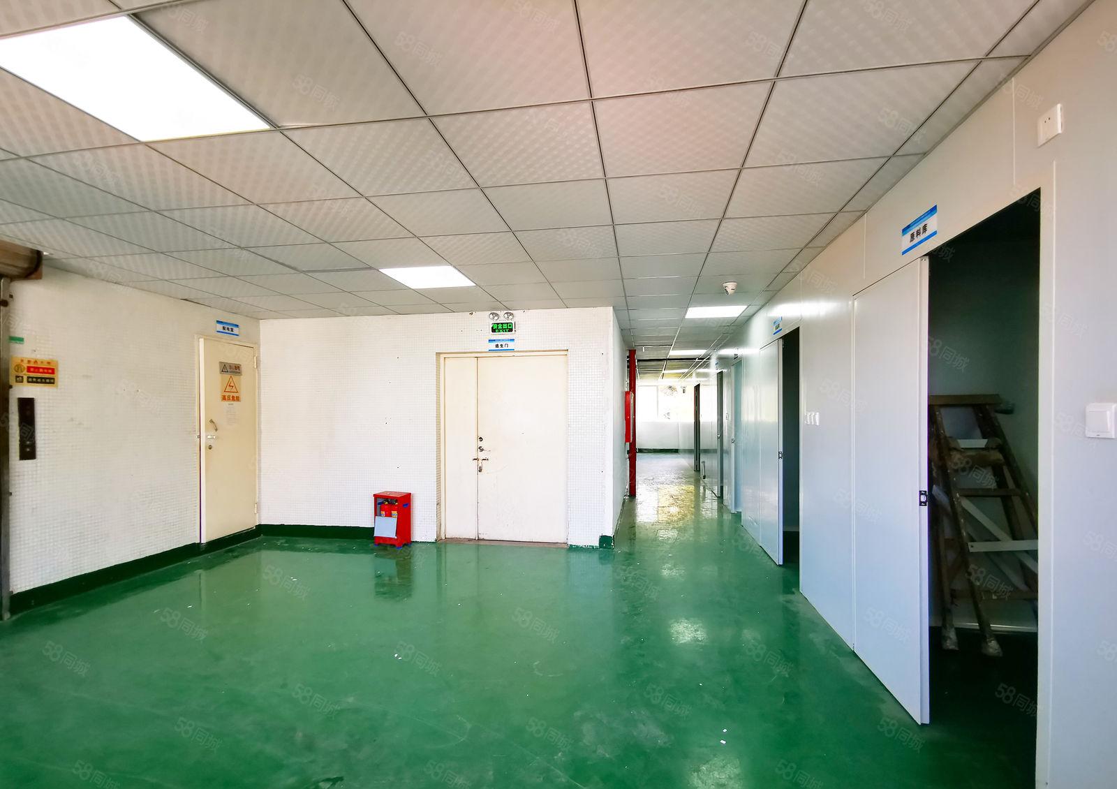 南山留仙洞总部基地 带无尘车间厂房 整层2100平 周边易招