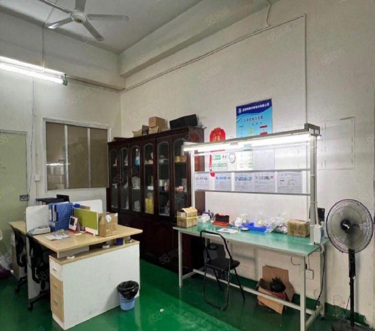 松岗大洋田500平一楼厂房出租低价仓库出租可分租无尘车间