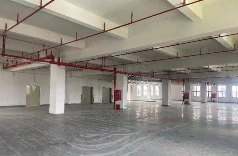 西丽阳光地铁口一手房东无公摊工厂独栋户型方正现成装修配电大