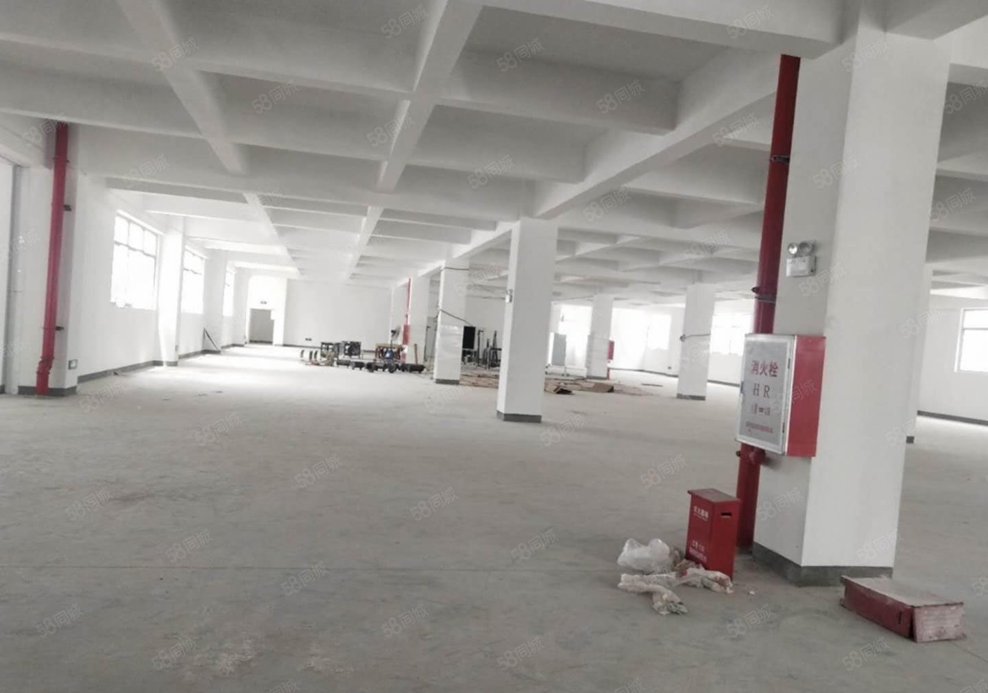 西丽地铁口独门独院5670平精装办公室电商仓库厂房出租可分租