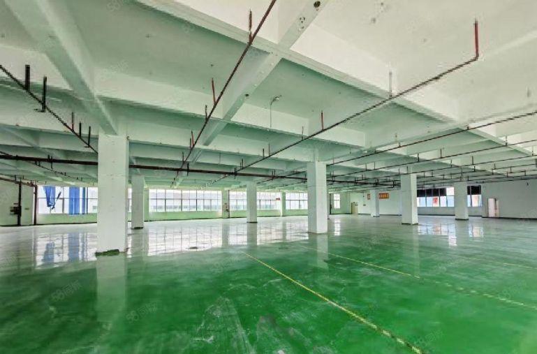 降租25一平水电齐全 西丽阳光工业区楼上厂房500平起租