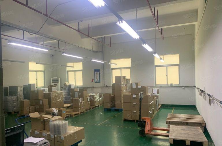 龙岗宝龙工业区新出楼上1650平方带现成办公室装修