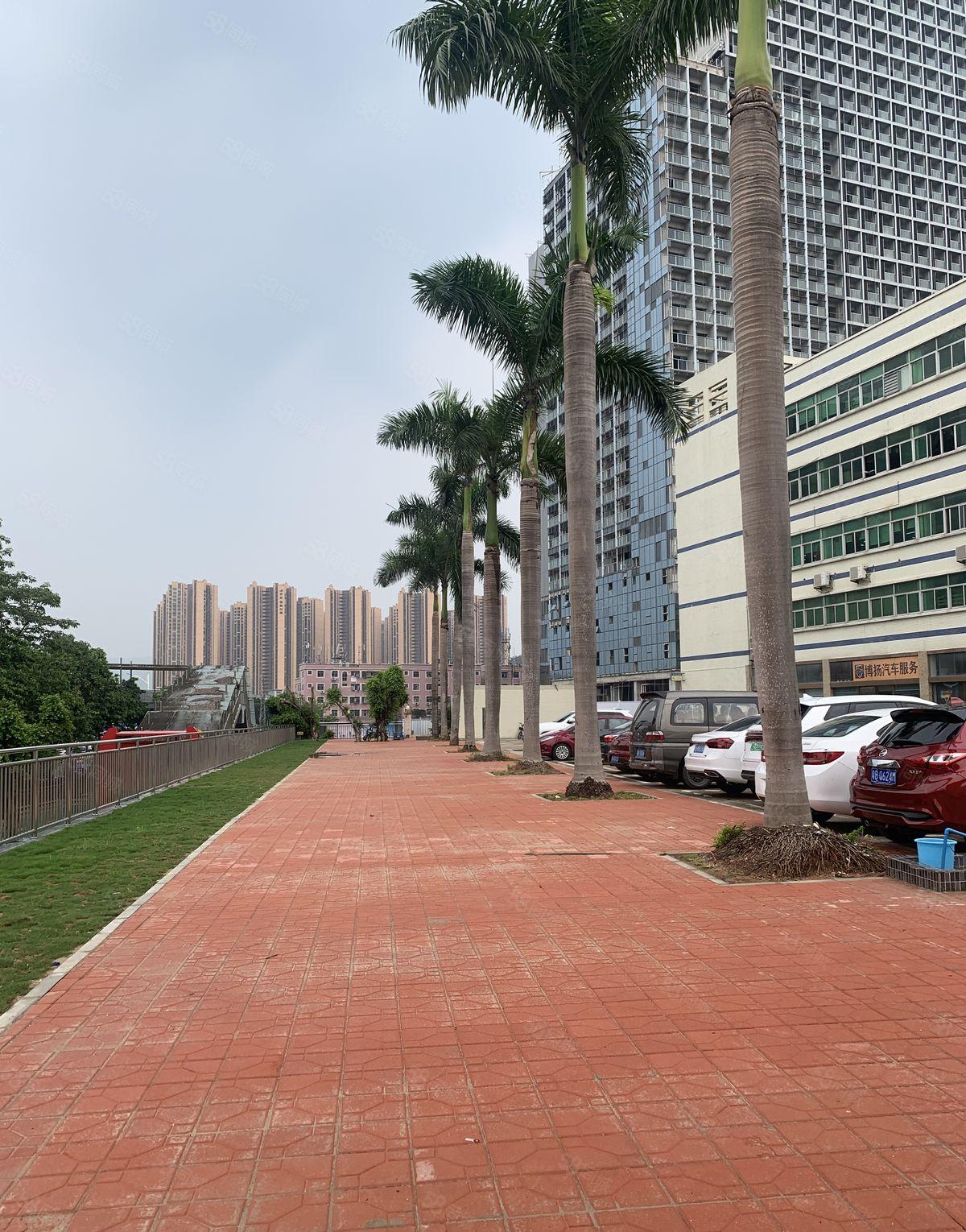 李朗 联创科技园 开发商直租 治安好 保安全天巡逻