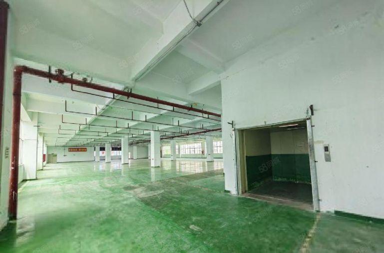 降租25一平水电齐全 西丽阳光工业区楼上厂房500平起租