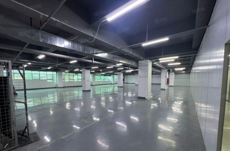 租金32元起 有消防喷淋 卸货平台 面积随意分租