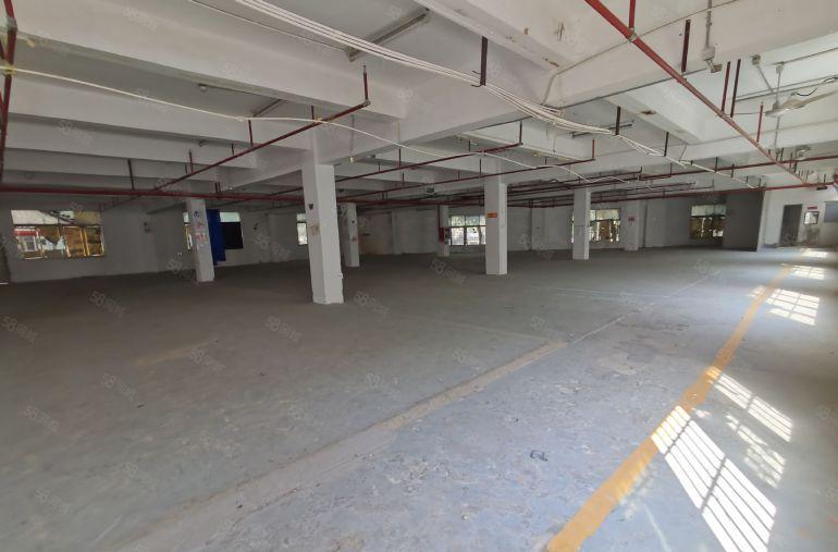 惠州厂房出租办公仓库独门独院工业园仓库出租一楼高速路口分租