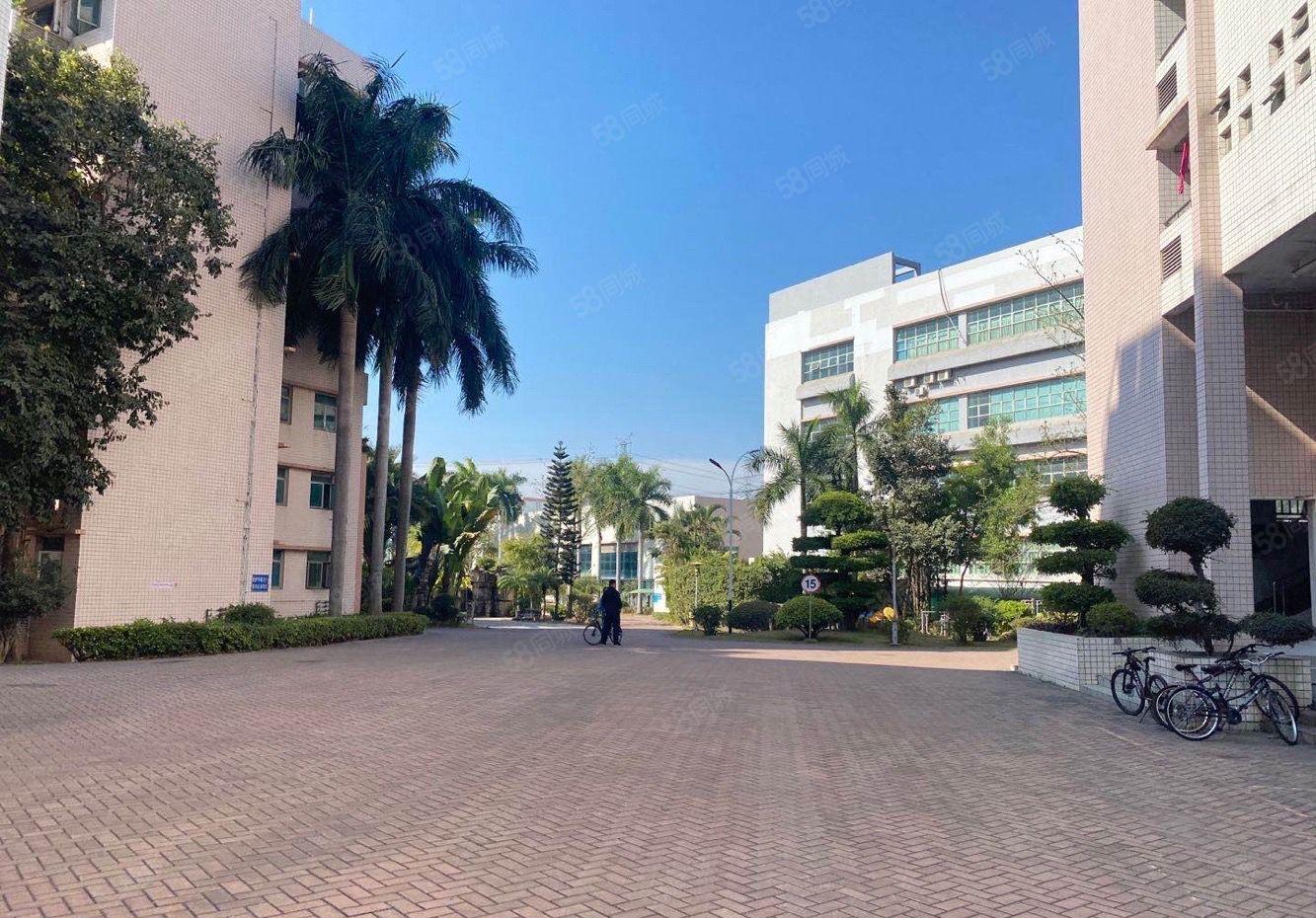 塘头恩斯麦花园式厂房2200平 独立红本 3吨货梯 超大空大