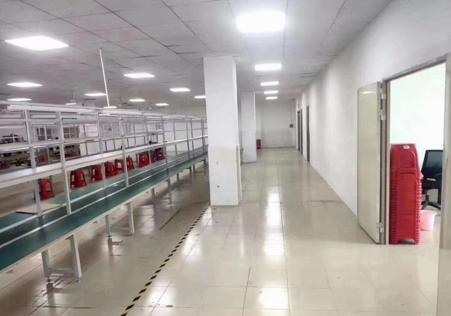 西丽麻磡工业区200平至5000平精装办公室电商仓库厂房出租