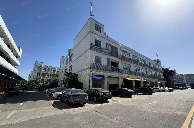 南山西丽工业区精装修厂房办公仓库出租一楼电商仓库大小面积分租