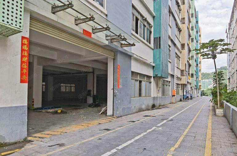 南山西丽 原房东新出一楼1350平 层高4.9米 环境好