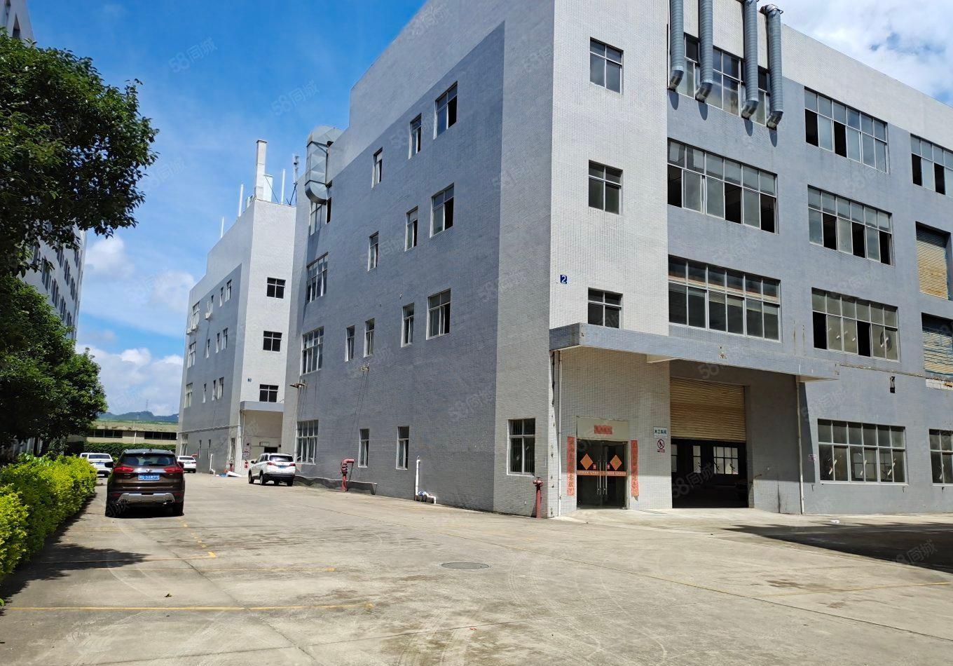 石岩石龙仔精装300平至5000平一楼仓库厂房出租转租分租