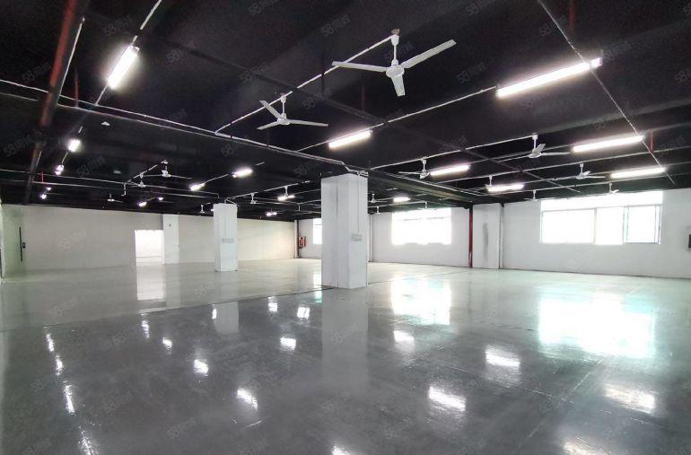 南山西丽有厂房出租 租金28每平 1500平至3000平可分