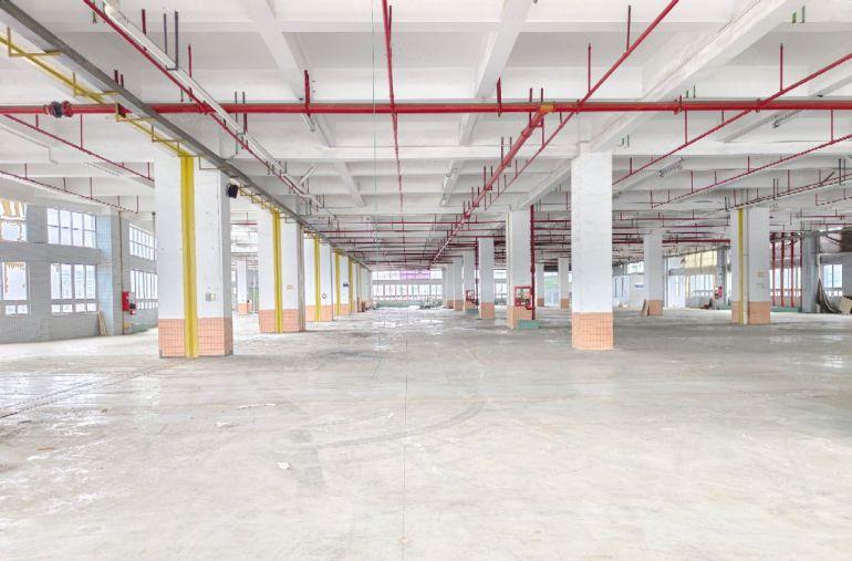 塘厦新出独门独院4万平标准厂房，带卸货平台，空地超大，原房东