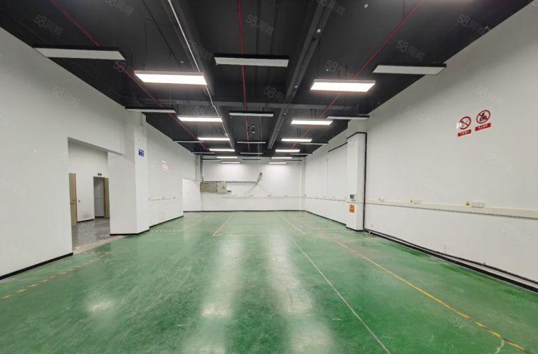 西丽一楼层高5米 三相电 研发办公 展厅 电商 科技 培训