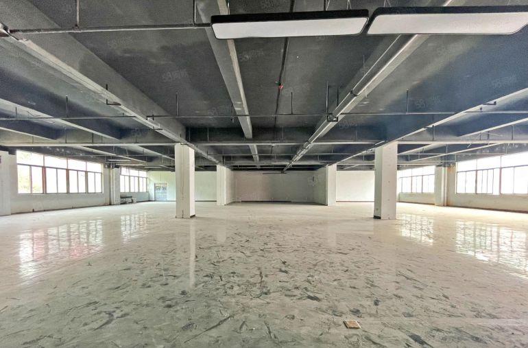 西丽留仙洞 独立半层1000平  高使用率 行业不限