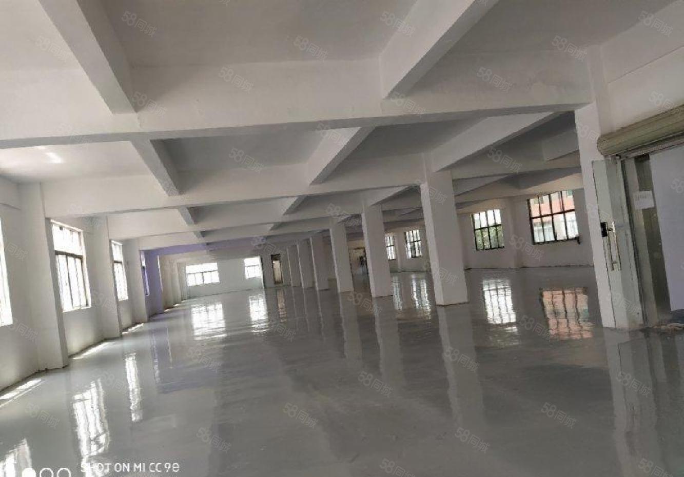 沙井107国道旁工业园独院独栋厂房5400平不分租，精装修