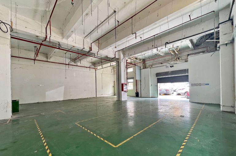 南山西丽珠光一楼315平方，层高5米 行业不限