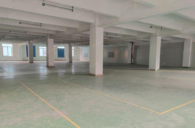 南山西丽厂房出租 大小面积可分 性价比高  交通便利 随时看